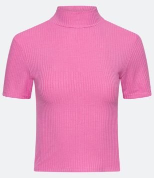  Blusa em Ribana com Golinha Alta e Manga Curta