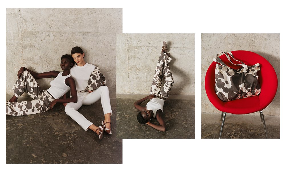 animal-print-interno-01