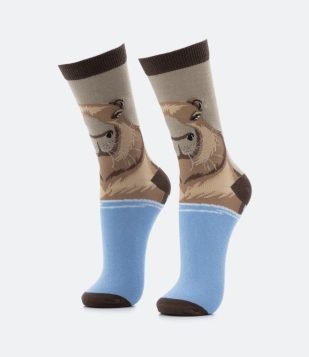 Meia Cano Alto em Algodão com Estampa de Capivara Marrom-Azul