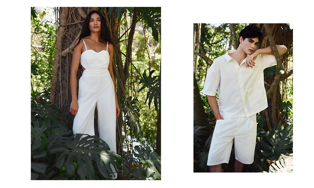 algodao-regenerativo-interno-01